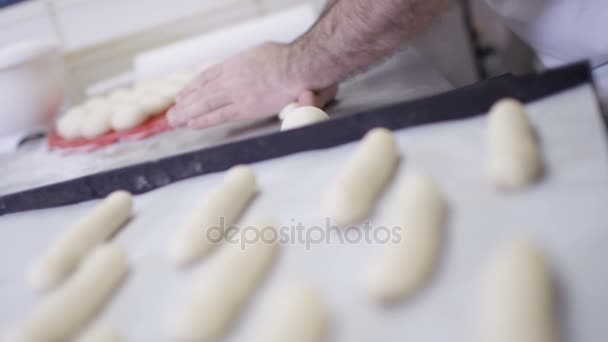 Close Hands Man Rolling Out Balls Dough Bakery Shop — Stock Video