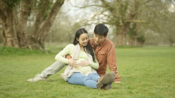 Retrato Sorrindo Casal Asiático Esperando Bebê Relaxante Parque — Vídeo de Stock