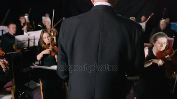 Orquestra Sinfônica Durante Uma Apresentação Com Close Violinista — Vídeo de Stock