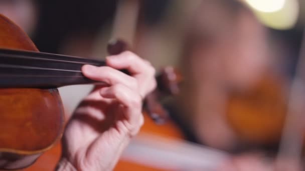 Orchestra Sinfonica Durante Una Performance Con Focus Sui Violinisti — Video Stock