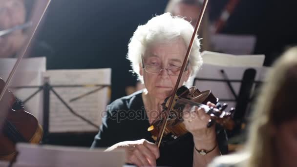 Symphony Orchestra Performance Focus Violinist — Stock Video