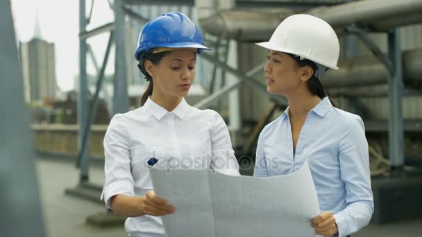 Retrato Ingenieras Sonrientes Lugar Con Colegas Fondo — Vídeos de Stock