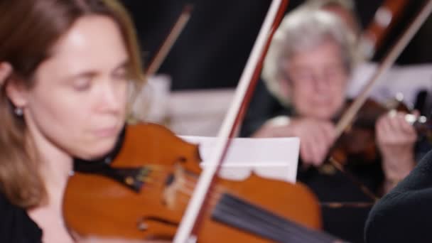 Orquestra Sinfônica Durante Uma Apresentação Com Foco Violinista — Vídeo de Stock
