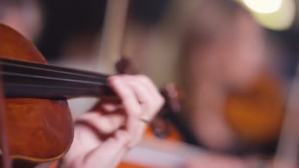 Symphony Orchestra Performance Focus Violinists Video Clip