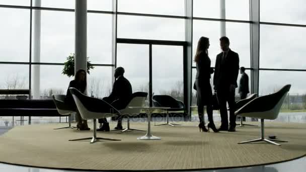 Caducidad Las Siluetas Los Hombres Negocios Área Reunión Oficina Cristal — Vídeos de Stock