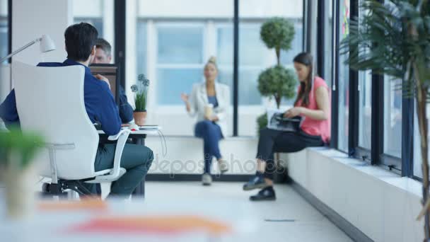 愉快的商务小组在现代办公室里聊天和工作在他们的办公桌上 — 图库视频影像