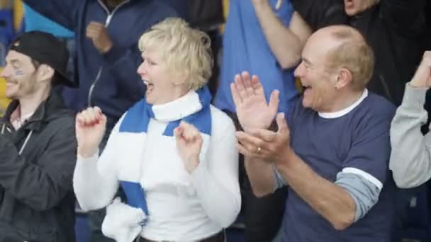 Pareja Madura Emocionada Multitud Deportes Celebrando Animando Equipo — Vídeos de Stock