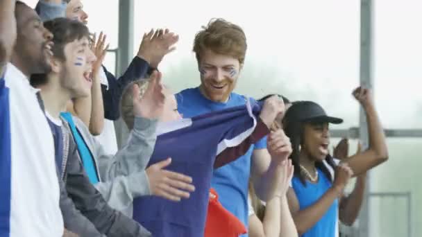 Crowd Spectators Cheering Sports Event — Stock Video