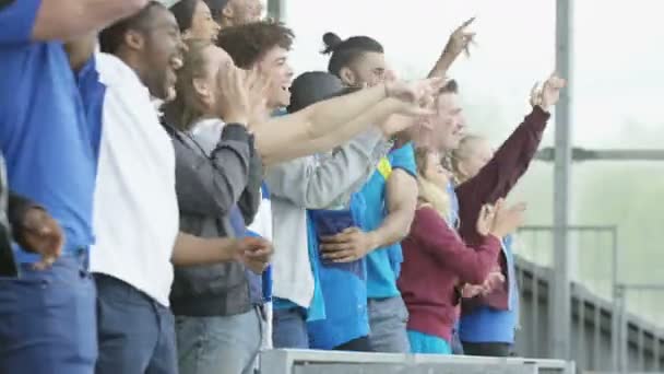 Les Fans Sport Excités Applaudissent Applaudissent Direct Leur Équipe — Video