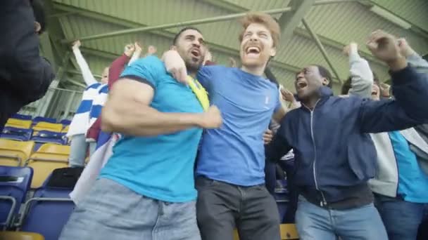 Begeisterte Fans Sportpublikum Die Ihr Team Feiern Und Anfeuern — Stockvideo