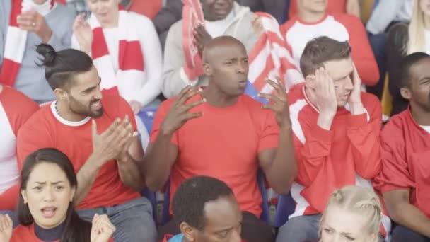 Multidão Espectadores Assistindo Jogo Esportes Estádio Gritando Para Árbitro — Vídeo de Stock