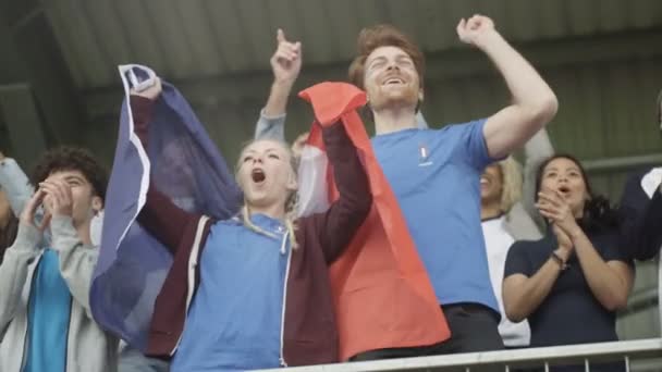 Aficionados Emocionados Con Bandera Francesa Multitud Deportes Celebrando Animando Equipo — Vídeos de Stock