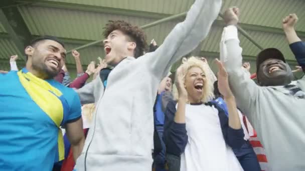 Excited Sports Crowd National Flags Celebrating Cheering Teams — Stock Video