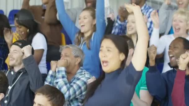 Fans Excités Dans Foule Sportive Célébrer Encourager Leur Équipe — Video