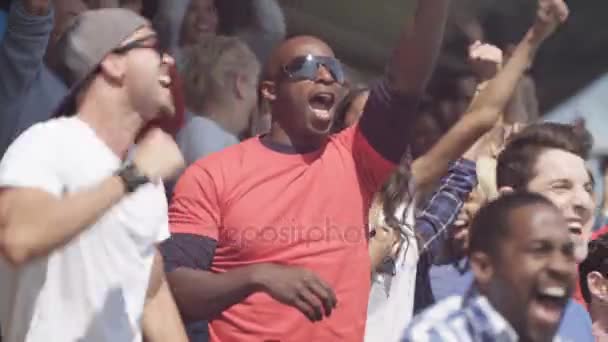 Sports Crowd Celebrating Watching Game Cheering — Stock Video