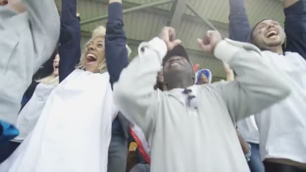 Multitud Deportes Emocionados Con Banderas Nacionales Celebrando Animando Los Equipos — Vídeo de stock