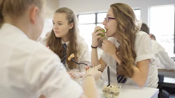 Children School Cafeteria Break Time Eating Healthy Lunches Chatting — Stock Video