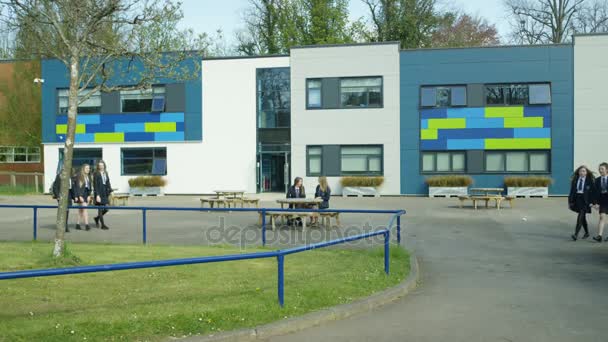 Groepen Van Kinderen Buiten Het Schoolgebouw Wandelen Sommige Zitten — Stockvideo