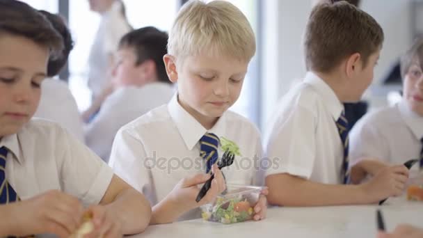 休息时间在学校咖啡馆里的小男孩们 吃健康的午餐和聊天 — 图库视频影像