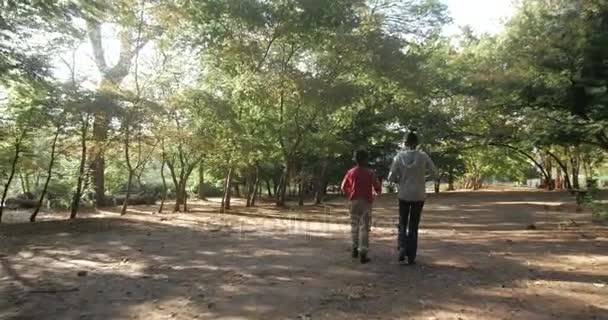 快乐的小男孩和女孩在夏天在树林里散步 — 图库视频影像