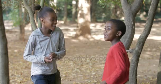 Милий Молодий Південноафриканський Хлопчик Дівчинка Чаті Під Час Вивчення Лісі — стокове відео