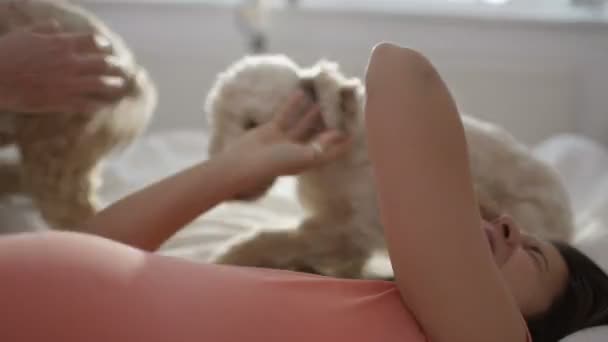 Gelukkige Paar Ontspannen Slaapkamer Met Twee Leuke Speelse Jonge Puppy — Stockvideo