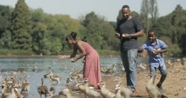 4 k mutlu Afrika aile besleme yaban ördekleri yaz gününde doğal ortamda