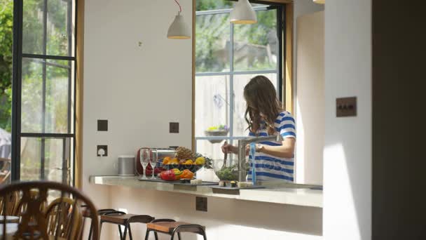 Woman Preparing Healthy Lunch Friends Summer Day — Stock Video