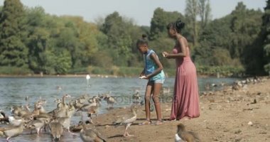 4 k mutlu Güney Afrikalı anne ve kızı ördekler doğal ortamında besleme