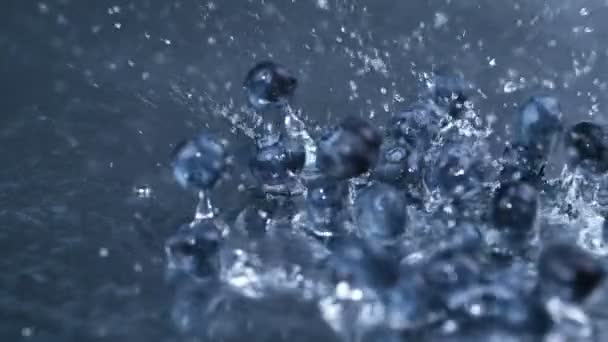 新鲜蓝莓掉落并溅入干净的淡水的缓慢运动 — 图库视频影像