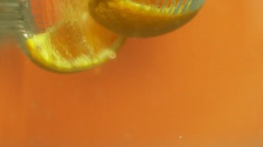 4 k taze dilimlenmiş limon temiz saf su atılan ağır çekimde kapat