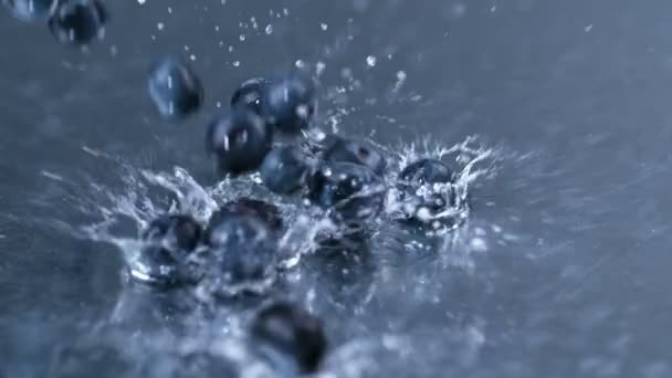 Movimento Lento Mirtilli Freschi Che Cadono Schizzano Acqua Dolce Pulita — Video Stock