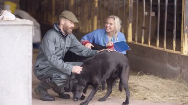 Dierenarts Praten Met Boer Boerderij Opbouwen Zijn Honden Aaien — Stockvideo