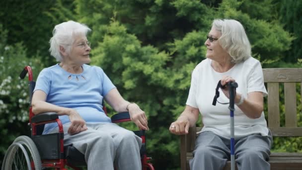 Alegre Ancianos Residentes Hogar Ancianos Charlando Riendo Aire Libre Jardín — Vídeo de stock