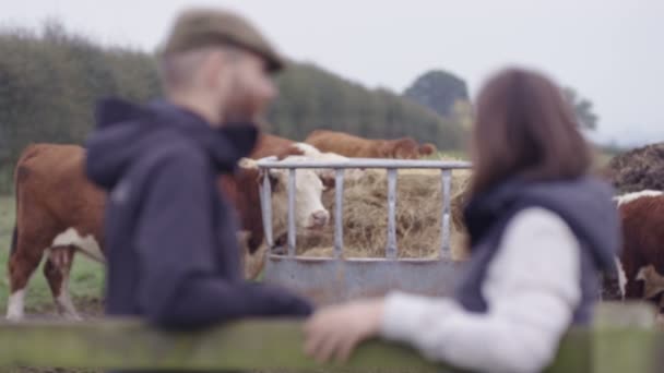 Tarım Çift Alanında Arka Planda Otlatma Sığır Gülümseyen Portresi — Stok video