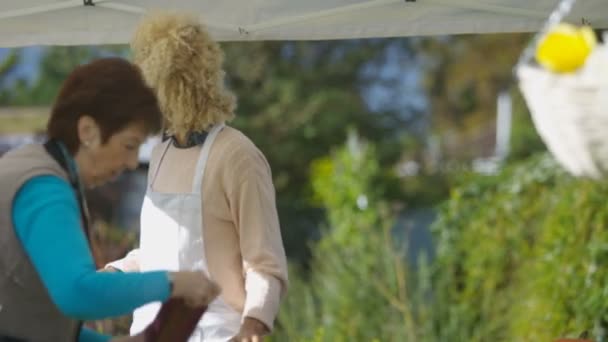 Friendly Stall Holder Serving Customers Farmers Market — Stock Video