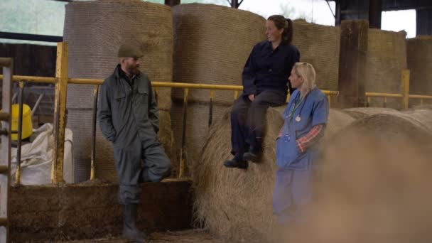 Casal Agricultores Conversando Com Veterinário Interior Celeiro Feno — Vídeo de Stock