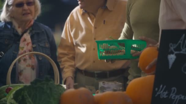 在农民市场上购买新鲜农产品的客户 — 图库视频影像