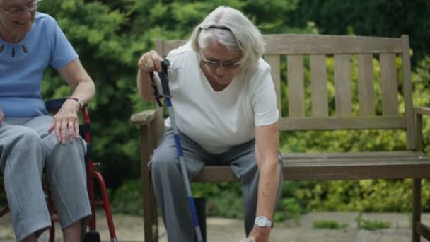 Neşeli Yaşlı Sakinleri Sohbet Açık Havada Bahçede Gülüyor Huzurevi — Stok video