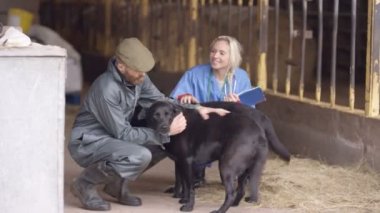 4k bina ve onun köpekleri sevişme çiftlik çiftçi konuşurken veteriner
