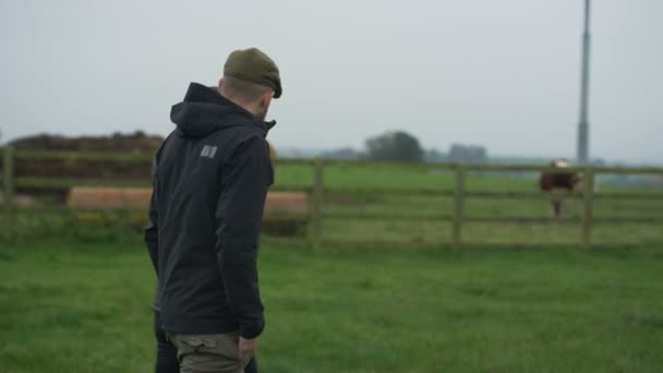 Landbouw Paar Wandelen Het Veld Controle Kudde Runderen — Stockvideo