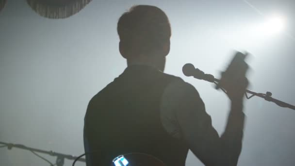 Вид Сзади Музыкант Силуэте Играет Толпы Музыкальном Мероприятии — стоковое видео