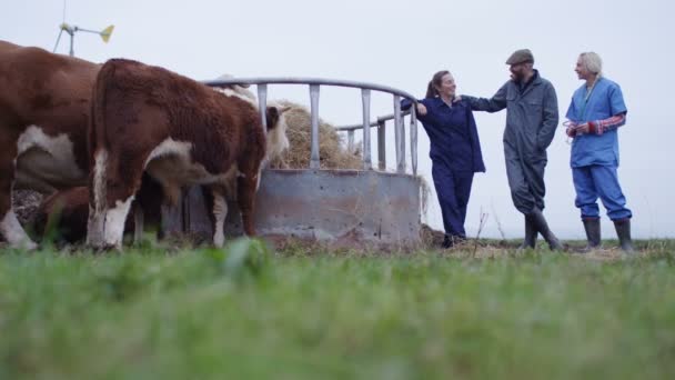 Bauernpaar Spricht Mit Tierarzt Und Kümmert Sich Schafherde — Stockvideo