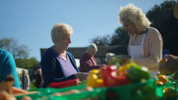 Fröhliche Frau Verkauft Frisches Obst Und Gemüse Kunden Auf Dem — Stockvideo