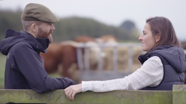 Landbouw Paar Praten Het Veld Met Vee Grazen Achtergrond — Stockvideo