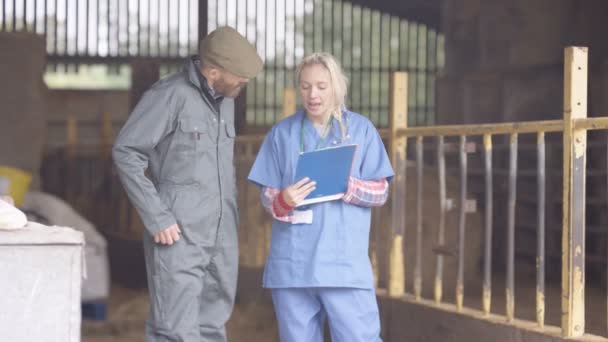 Tierarzt Gespräch Mit Landwirt Inneren Eines Landwirtschaftlichen Gebäudes — Stockvideo