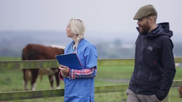 农民与兽医在田间检查牲畜 — 图库视频影像