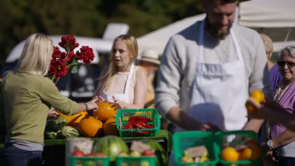 Friendly Stall Holders Selling Customers Farmers Market — Stock Video