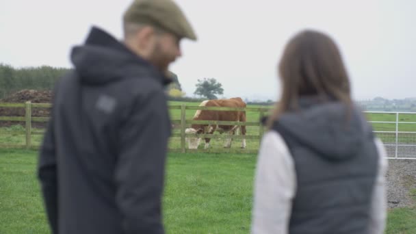 Farming Couple Walking Field Checking Herd Cattle — Stock Video