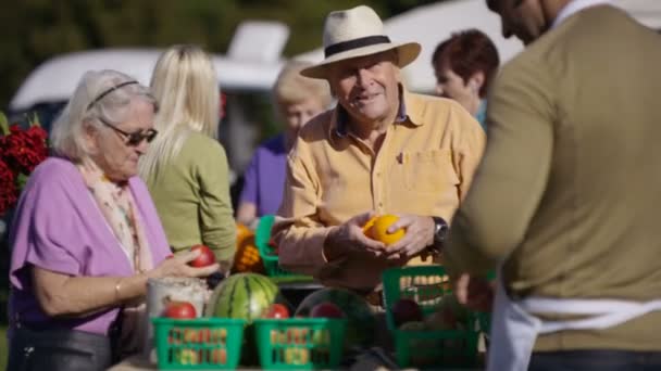 シニア カップル農民市場でショッピング — ストック動画